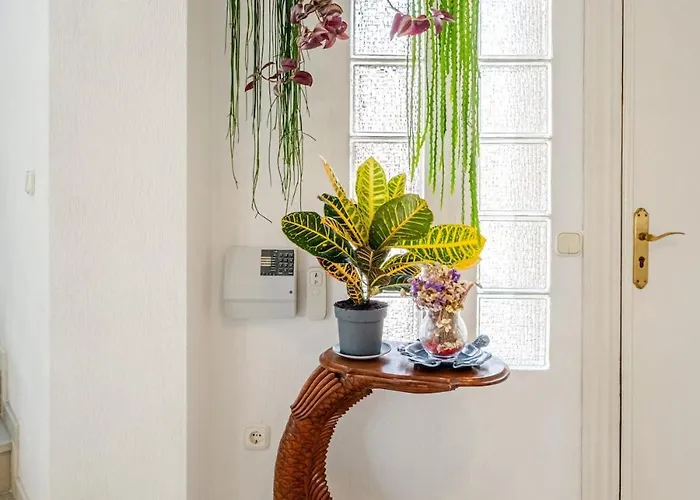 Oasis Beachfront Luxury ヴィラ